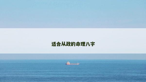 适合从政的命理八字