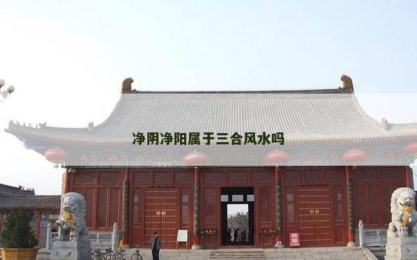 净阴净阳属于三合风水吗
