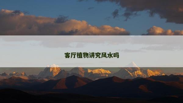 客厅植物讲究风水吗