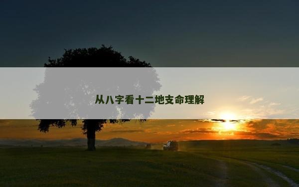 从八字看十二地支命理解