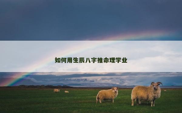 如何用生辰八字推命理学业