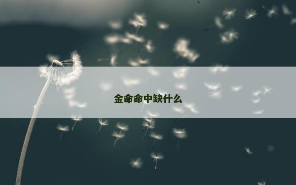 金命命中缺什么