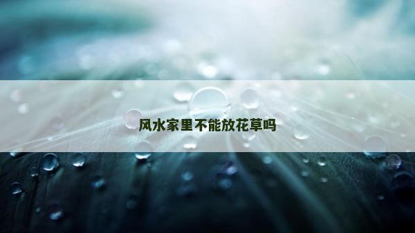 风水家里不能放花草吗