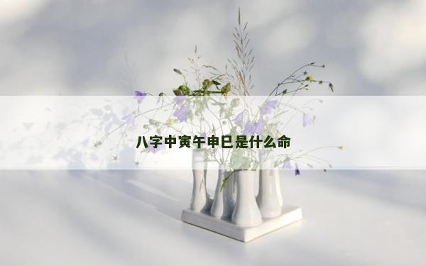 八字中寅午申巳是什么命