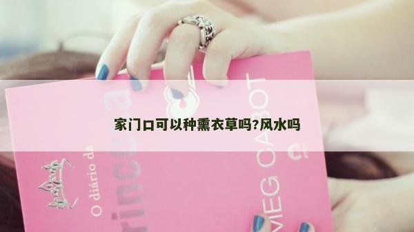 家门口可以种熏衣草吗?风水吗