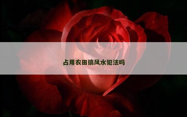 占用农田搞风水犯法吗