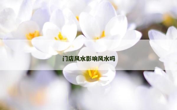 门店风水影响风水吗