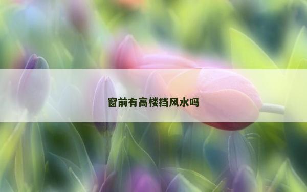 窗前有高楼挡风水吗