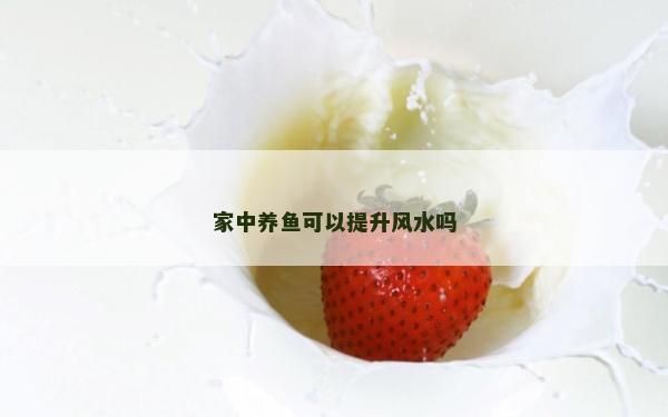 家中养鱼可以提升风水吗