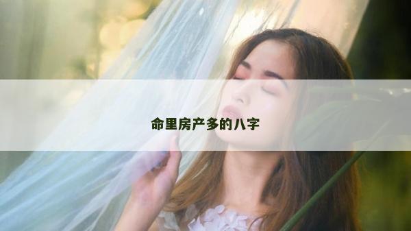 命里房产多的八字