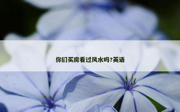 你们买房看过风水吗?英语