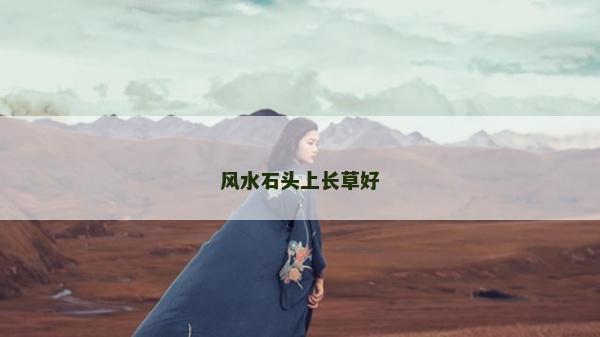 风水石头上长草好