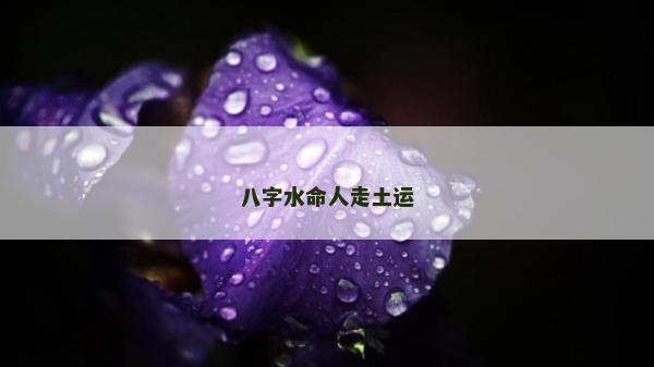 八字水命人走土运