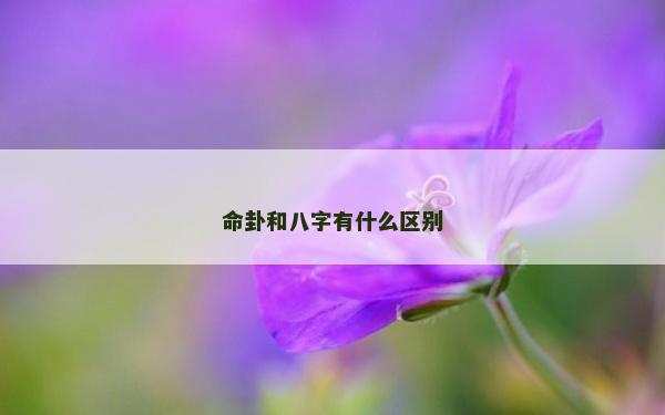 命卦和八字有什么区别