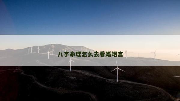 八字命理怎么去看婚姻宫