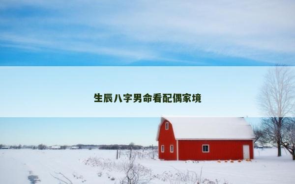 生辰八字男命看配偶家境