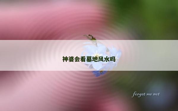 神婆会看墓地风水吗