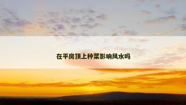 在平房顶上种菜影响风水吗
