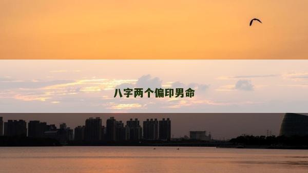 八字两个偏印男命