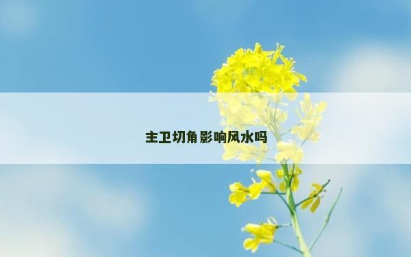 主卫切角影响风水吗