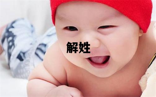 解姓有创意的男孩名字