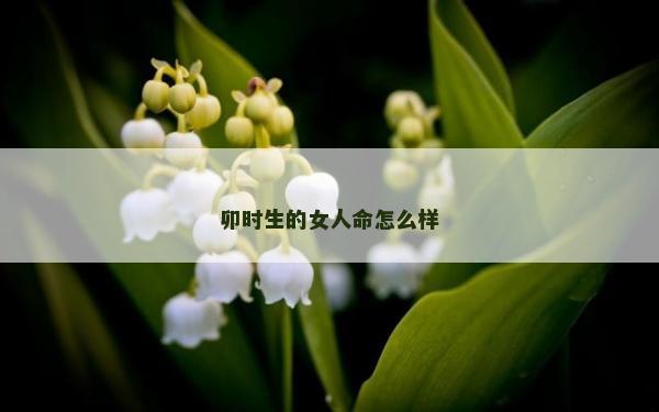 卯时生的女人命怎么样