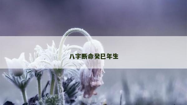 八字断命癸巳年生
