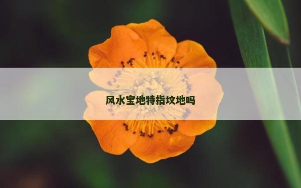 风水宝地特指坟地吗