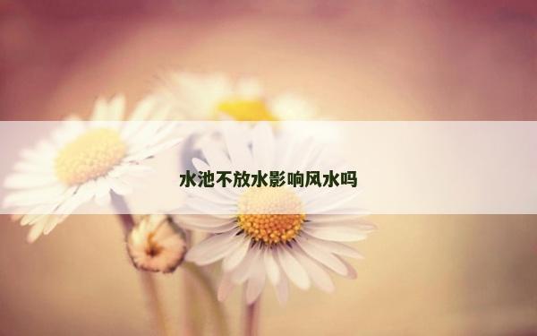 水池不放水影响风水吗