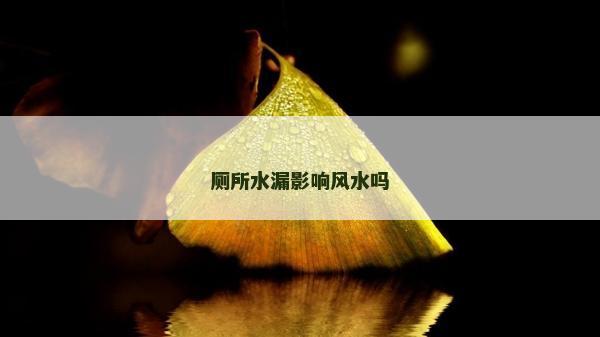厕所水漏影响风水吗