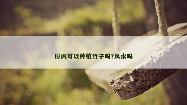 屋内可以种植竹子吗?风水吗
