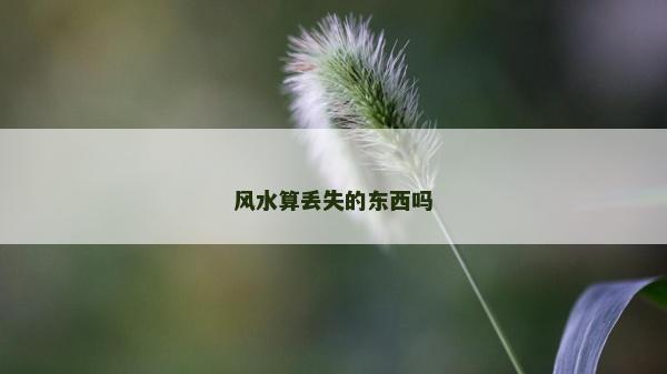 风水算丢失的东西吗