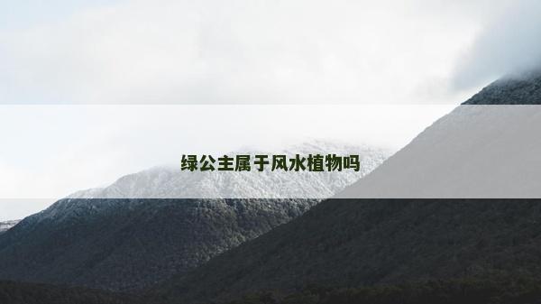 绿公主属于风水植物吗