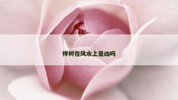 榉树在风水上是凶吗