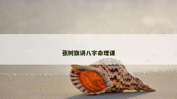 张树旗讲八字命理课