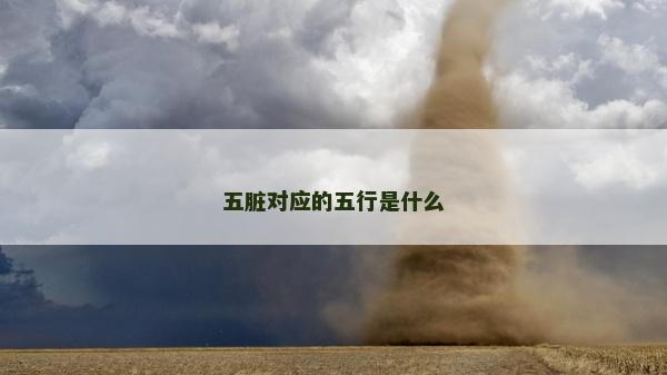 五脏对应的五行是什么