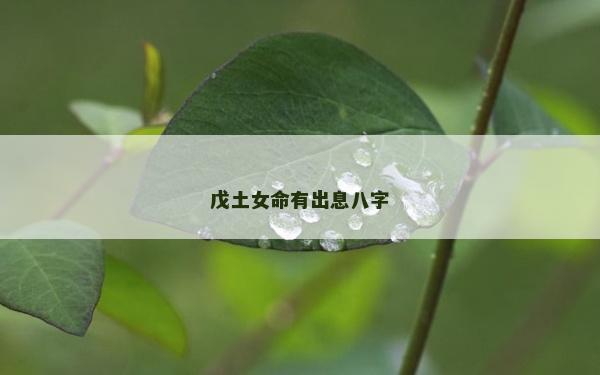 戊土女命有出息八字