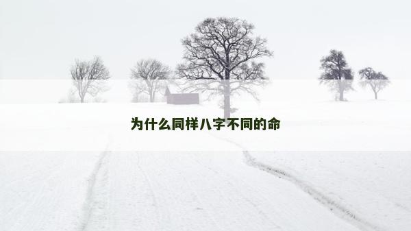 为什么同样八字不同的命