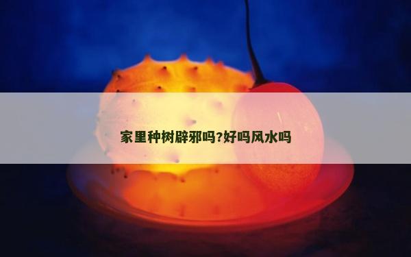 家里种树辟邪吗?好吗风水吗