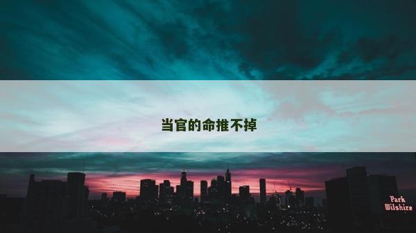 当官的命推不掉