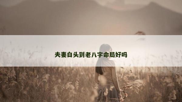 夫妻白头到老八字命局好吗