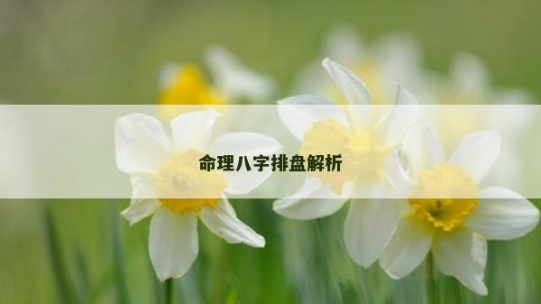 命理八字排盘解析