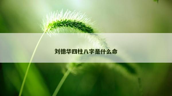 刘德华四柱八字是什么命