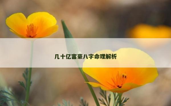 几十亿富豪八字命理解析