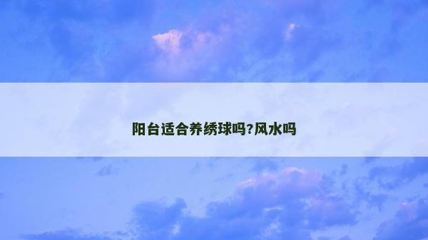 阳台适合养绣球吗?风水吗
