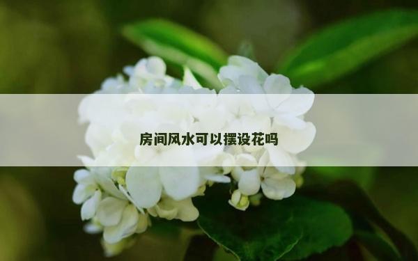 房间风水可以摆设花吗