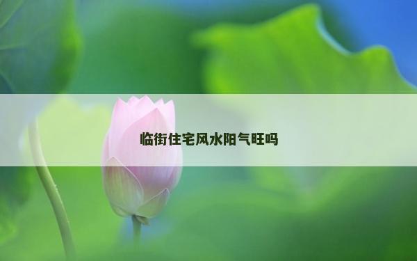 临街住宅风水阳气旺吗