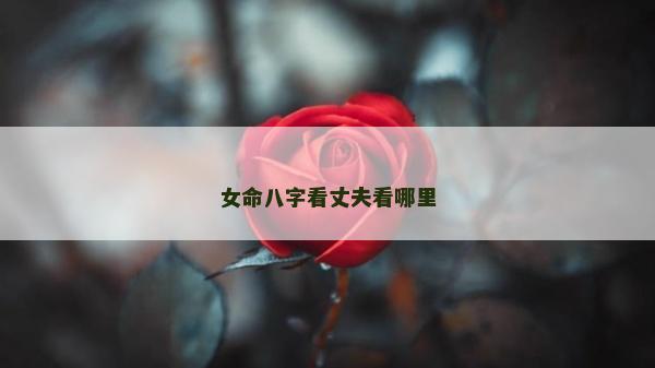女命八字看丈夫看哪里