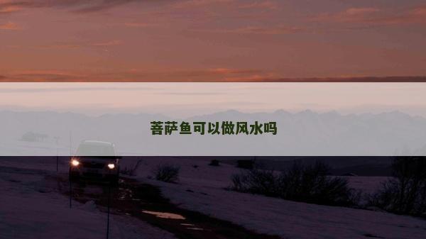 菩萨鱼可以做风水吗