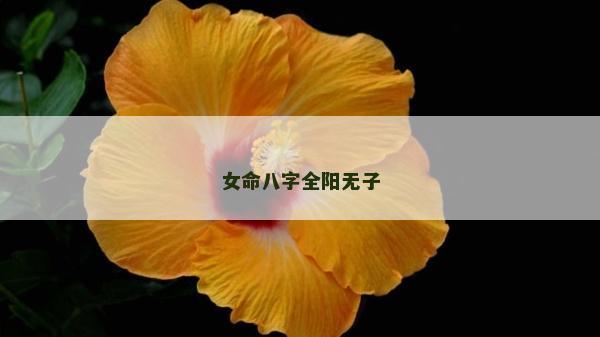 女命八字全阳无子